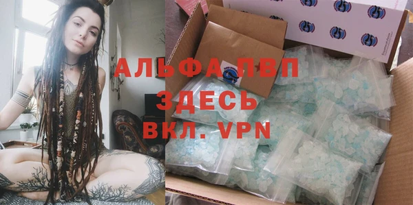 индика Балахна