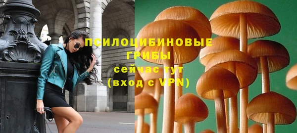 индика Балахна