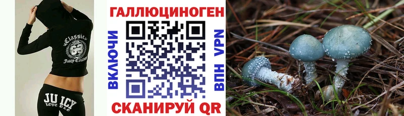 наркотики  Новороссийск  блэк спрут ссылки  Галлюциногенные грибы прущие грибы 