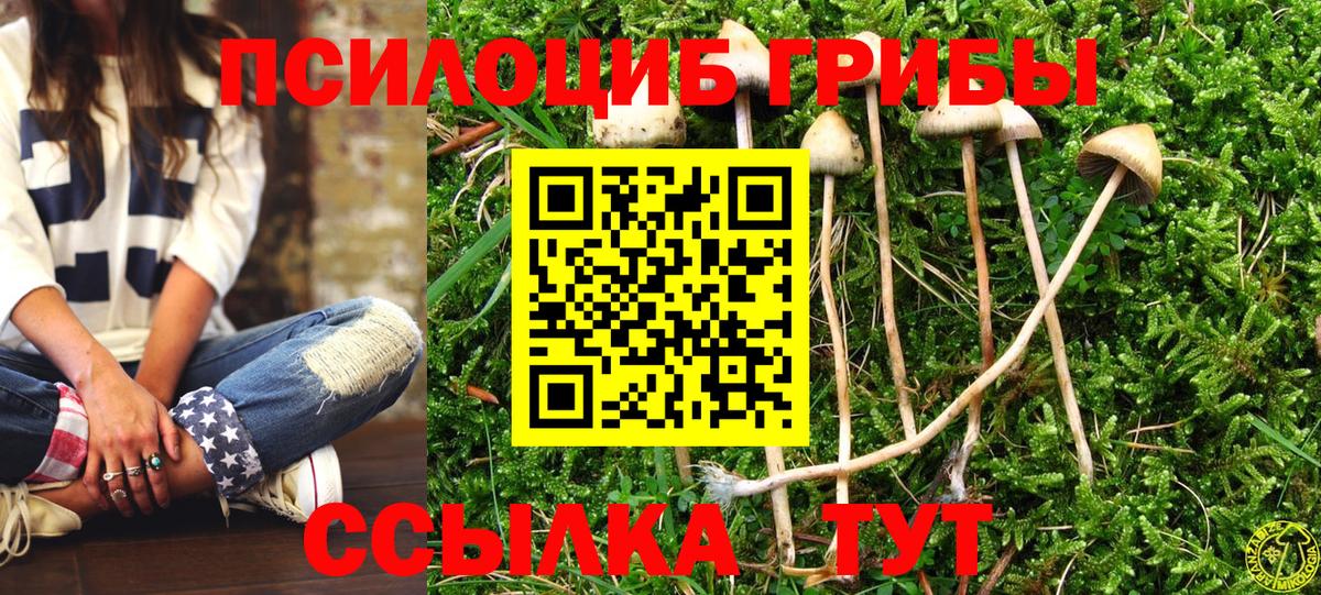 Псилоцибиновые грибы Magic Shrooms  Вход с VPN  Новороссийск  Галлюциногенные грибы Psilocybe 